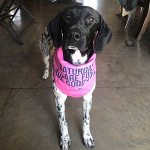 Meet your Posher, Miranda